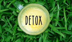 [Анна Шутова] Печень_ детокс программа (2020) [IQk_0.jpg